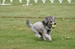 090207_Valencia_Cup_0410