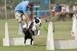 090207_Valencia_Cup_0428