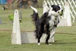 090207_Valencia_Cup_0429