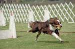 090207_Valencia_Cup_0432