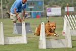 090207_Valencia_Cup_0436