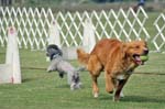 090207_Valencia_Cup_0438