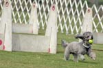 090207_Valencia_Cup_0443