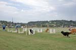 090207_Valencia_Cup_0452