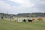 090207_Valencia_Cup_0453