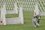 090207_Valencia_Cup_0460