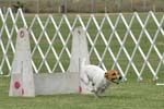 090207_Valencia_Cup_0462