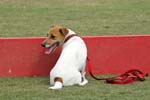 090207_Valencia_Cup_0485