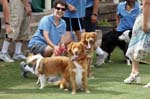 090207_Valencia_Cup_0490