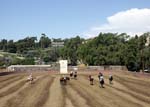 090307_Labor_Day_284