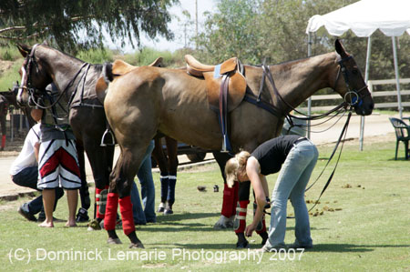 090907_Valencia_Finals_0017
