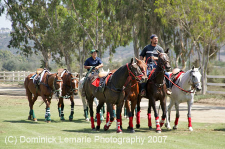 090907_Valencia_Finals_0009