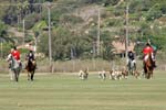 090907_Valencia_Finals_0265