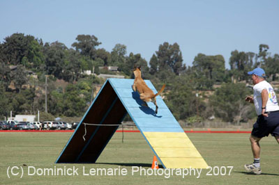091607_Spreckels_Cup_0385
