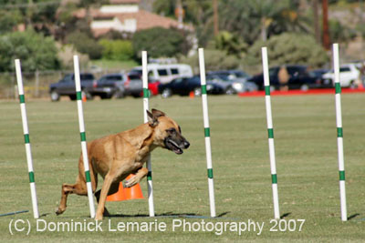091607_Spreckels_Cup_0386