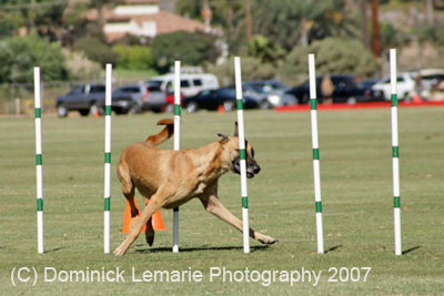 091607_Spreckels_Cup_0387