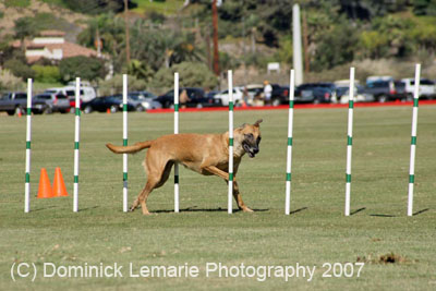 091607_Spreckels_Cup_0388