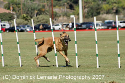 091607_Spreckels_Cup_0389