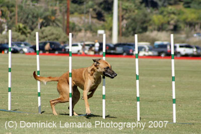 091607_Spreckels_Cup_0390