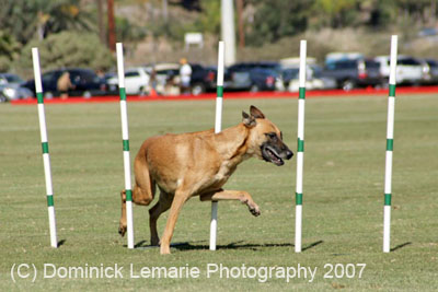 091607_Spreckels_Cup_0391