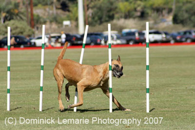 091607_Spreckels_Cup_0392