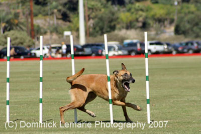 091607_Spreckels_Cup_0393