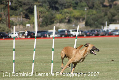 091607_Spreckels_Cup_0394