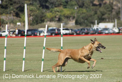 091607_Spreckels_Cup_0395