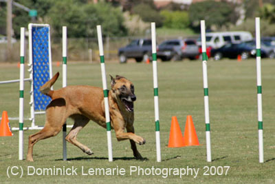 091607_Spreckels_Cup_0399