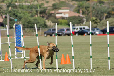 091607_Spreckels_Cup_0400