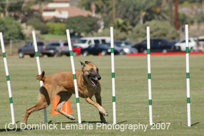 091607_Spreckels_Cup_0401