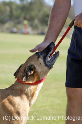 091607_Spreckels_Cup_0414