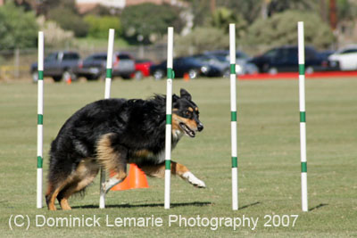 091607_Spreckels_Cup_0425