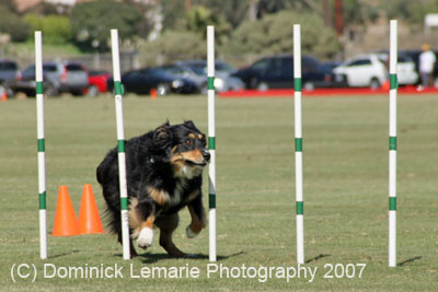 091607_Spreckels_Cup_0426