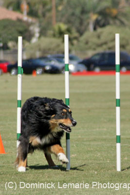 091607_Spreckels_Cup_0427