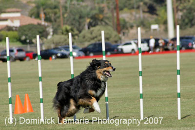 091607_Spreckels_Cup_0430
