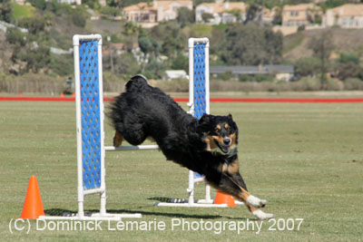 091607_Spreckels_Cup_0449