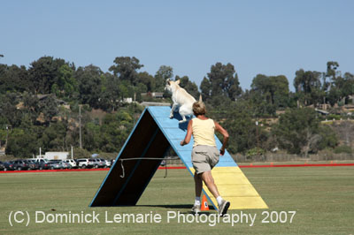 091607_Spreckels_Cup_0450