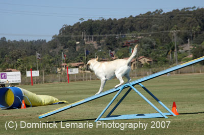 091607_Spreckels_Cup_0468