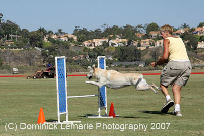 091607_Spreckels_Cup_0493