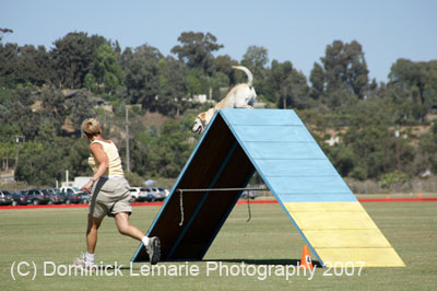 091607_Spreckels_Cup_0498