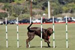 091607_Spreckels_Cup_0365
