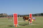091607_Spreckels_Cup_0381