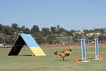 091607_Spreckels_Cup_0383
