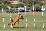 091607_Spreckels_Cup_0386