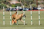 091607_Spreckels_Cup_0387
