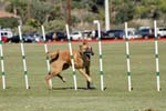 091607_Spreckels_Cup_0389
