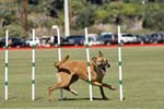 091607_Spreckels_Cup_0393