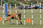 091607_Spreckels_Cup_0399