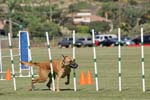 091607_Spreckels_Cup_0400